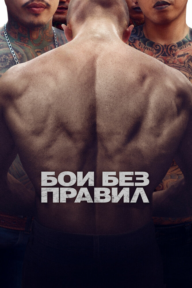 Бои без правил (2017)